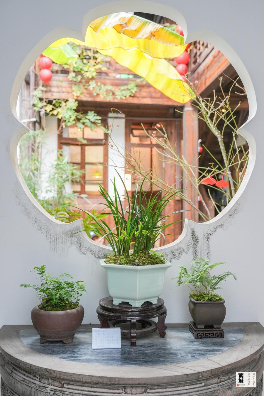 读城｜幽兰贺岁21年不缺席！福州于山兰花展正月初一开幕