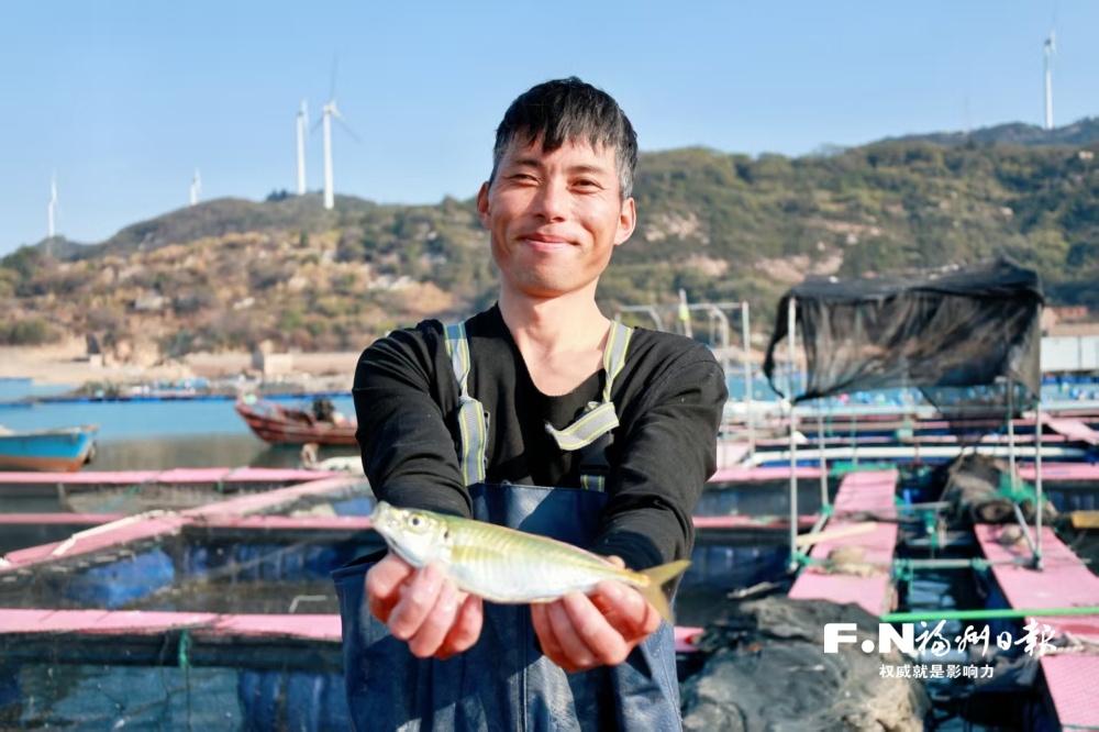 连江巴浪鱼抢滩新春餐桌