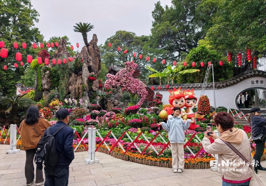 万朵兰花装点福州西湖