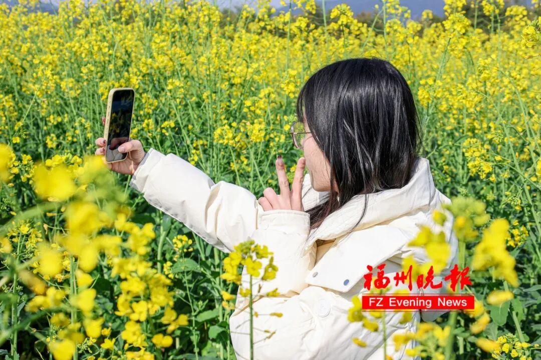 放风筝、露营、赏金黄花海！福州春节新添好去处