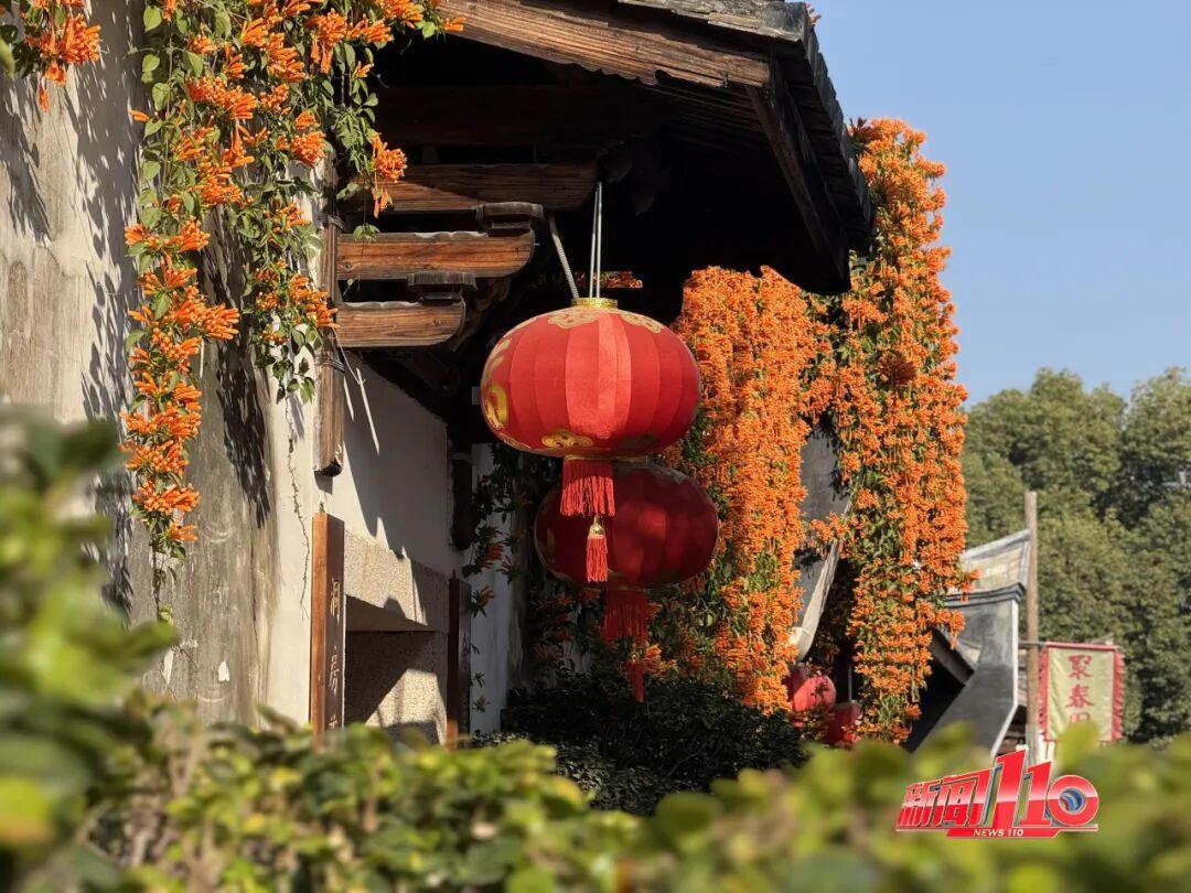 美得藏不住，多片花海迎来盛花期！是时候来福州赏花啦！
