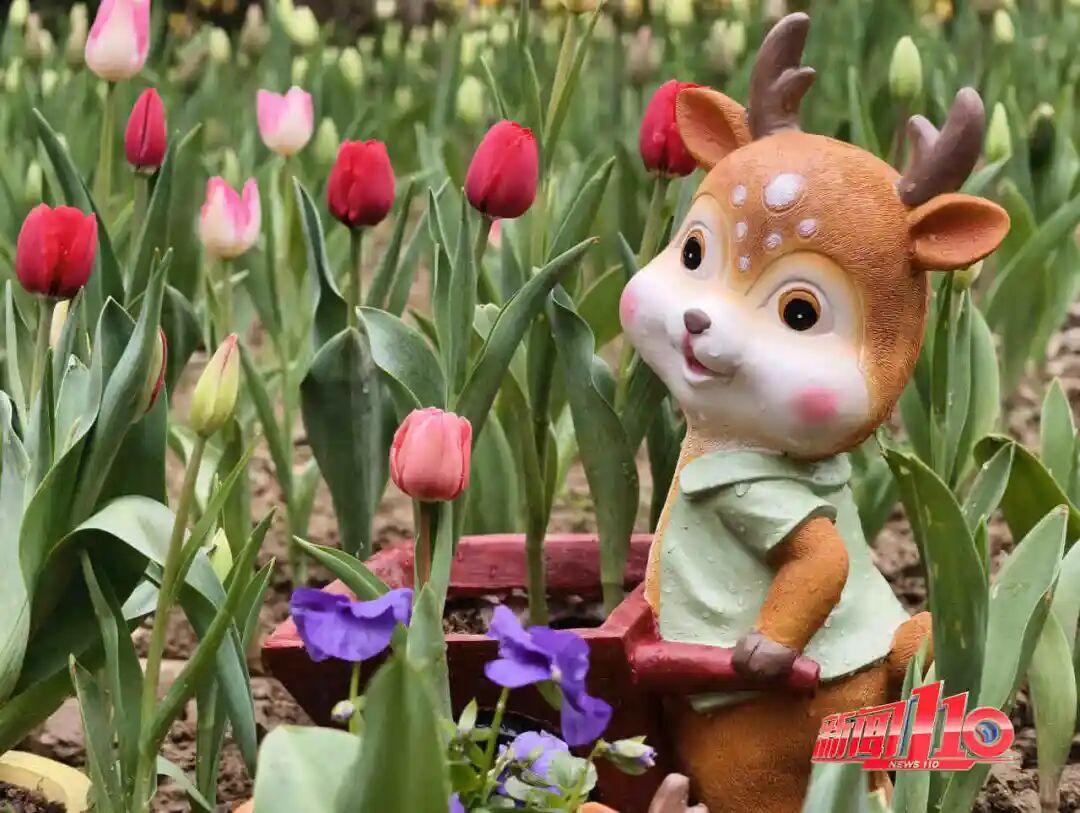 美得藏不住，多片花海迎来盛花期！是时候来福州赏花啦！