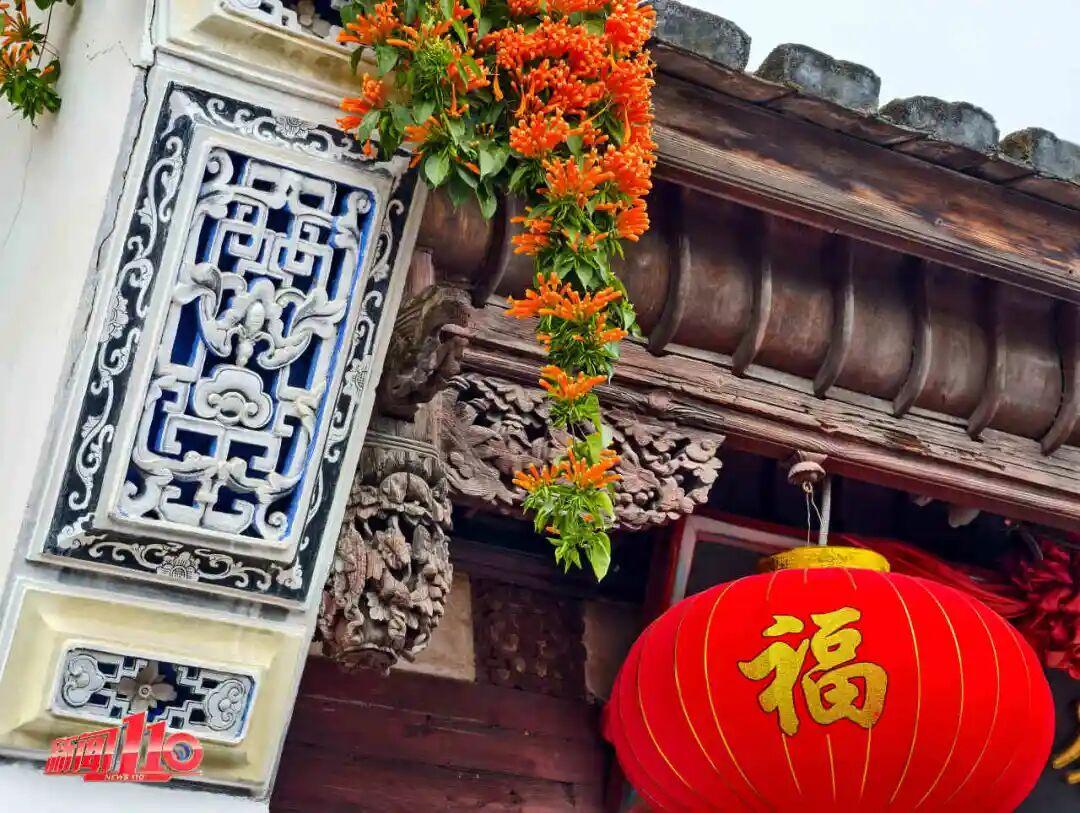 美得藏不住，多片花海迎来盛花期！是时候来福州赏花啦！