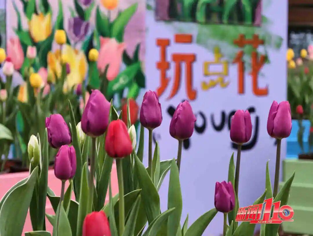 美得藏不住，多片花海迎来盛花期！是时候来福州赏花啦！