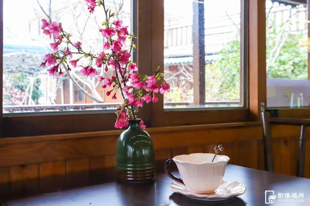 美上央视！福州春日花海已上线！