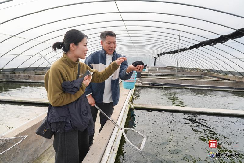 新春走基层｜年货顶流！带条福州金鱼回家
