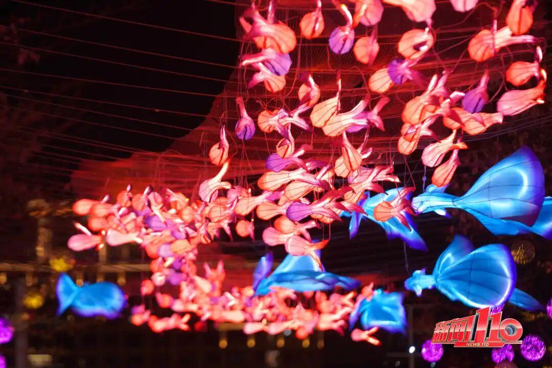 福州红了、靓了！新春年味溢满城！