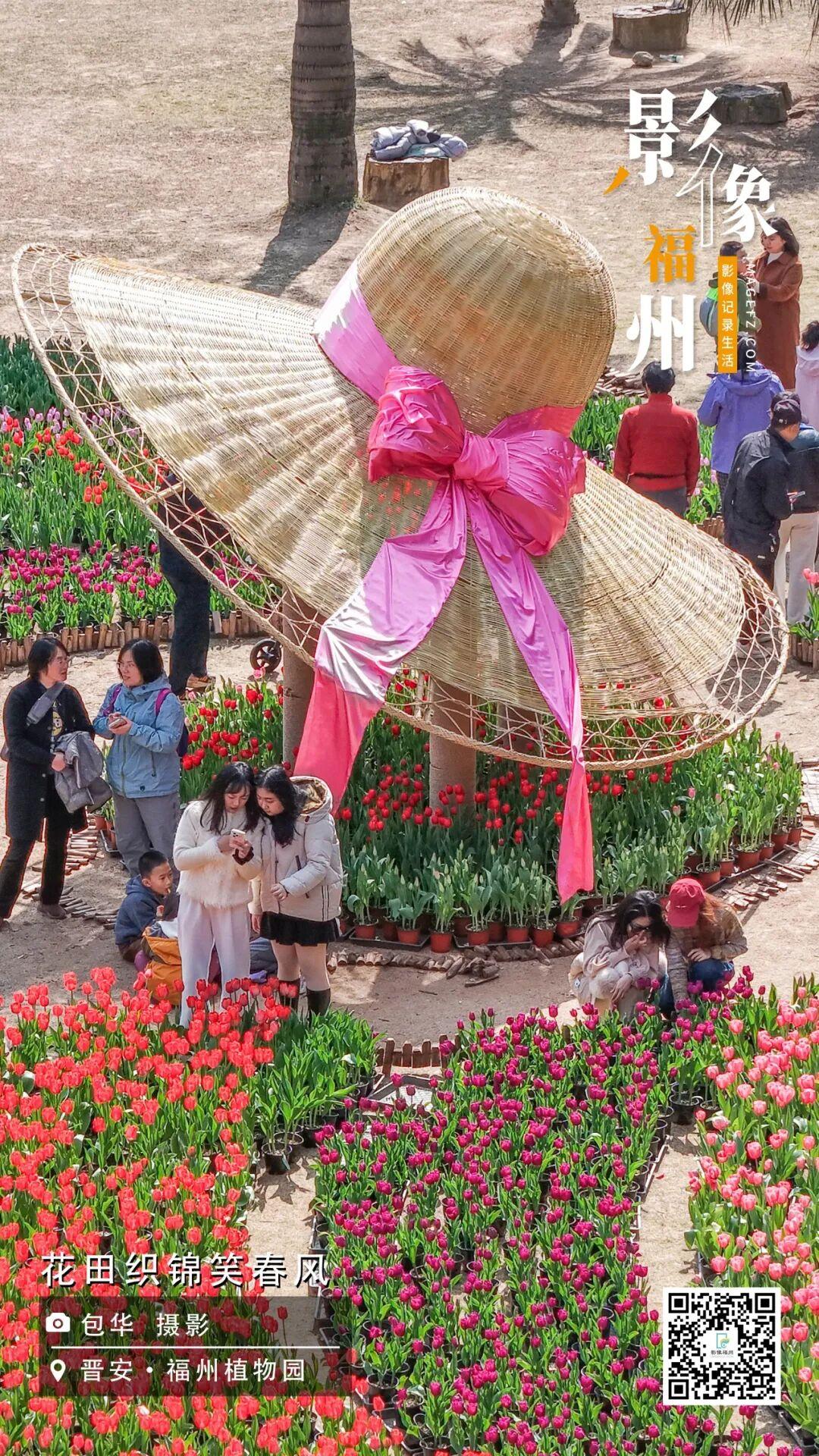 影像福州丨花田织锦笑春风