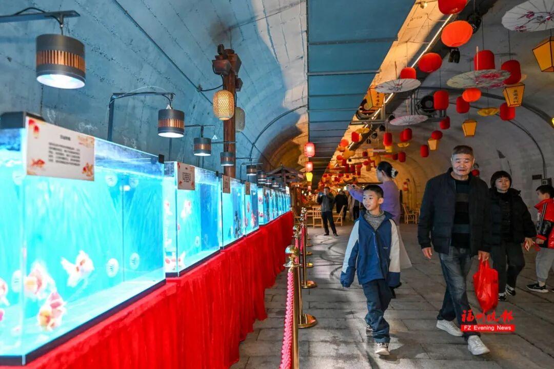 免费开放！福州乌山防空洞上新啦！