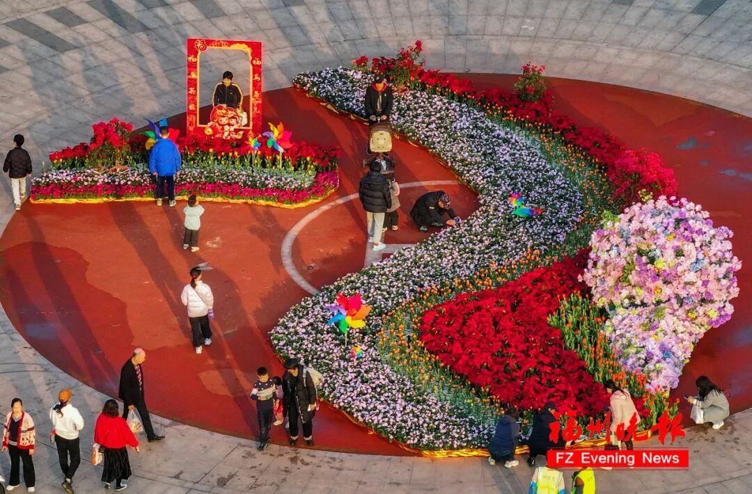 30000多株！福州温泉公园郁金香花海，太美了！坐地铁可达！