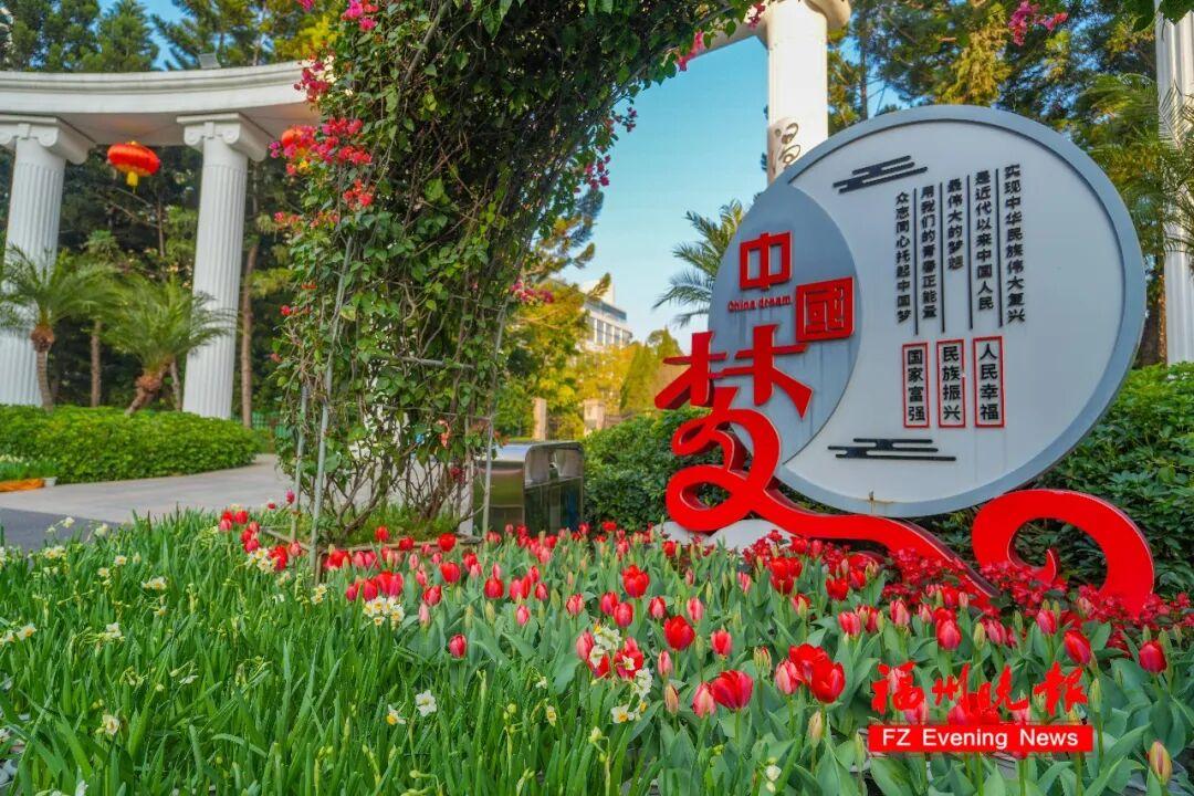 30000多株！福州温泉公园郁金香花海，太美了！坐地铁可达！