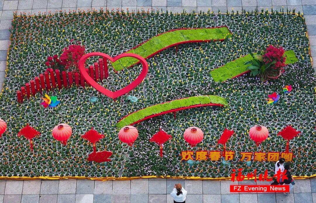 30000多株！福州温泉公园郁金香花海，太美了！坐地铁可达！