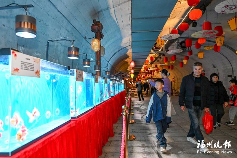 乌山防空洞免费开启新春奇旅