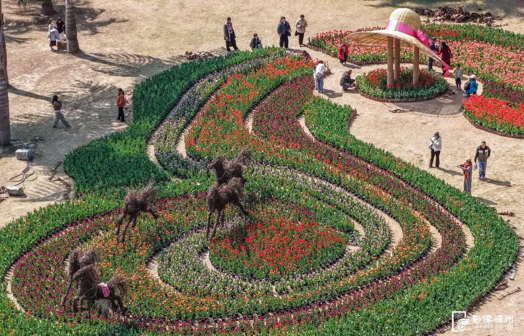 免费开放！这个春节，“马”上来福州！