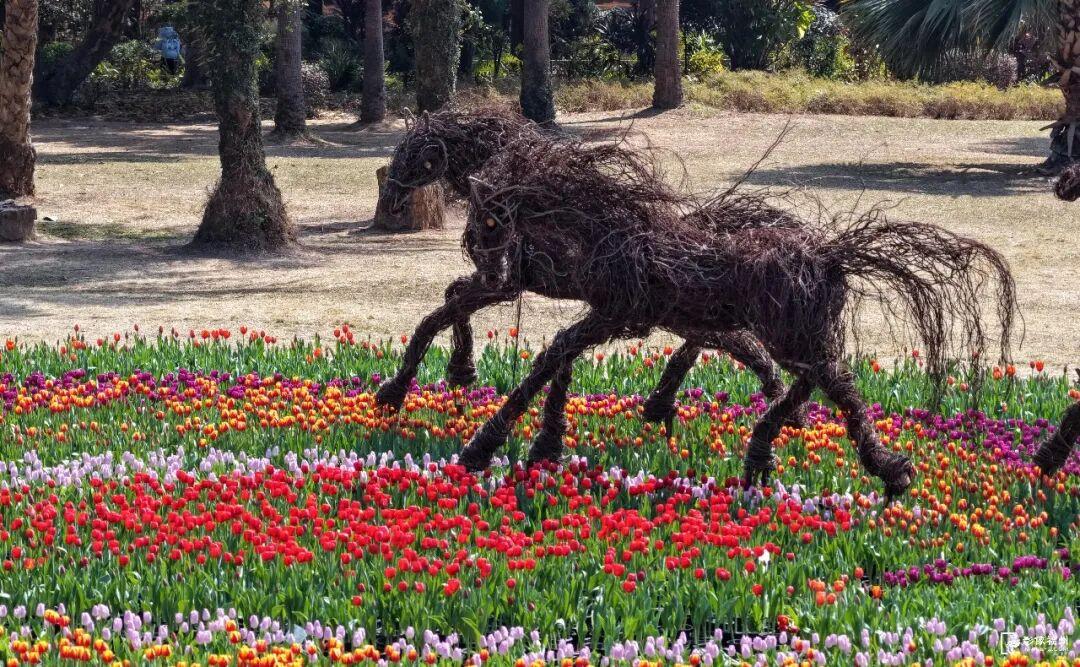 免费开放！这个春节，“马”上来福州！