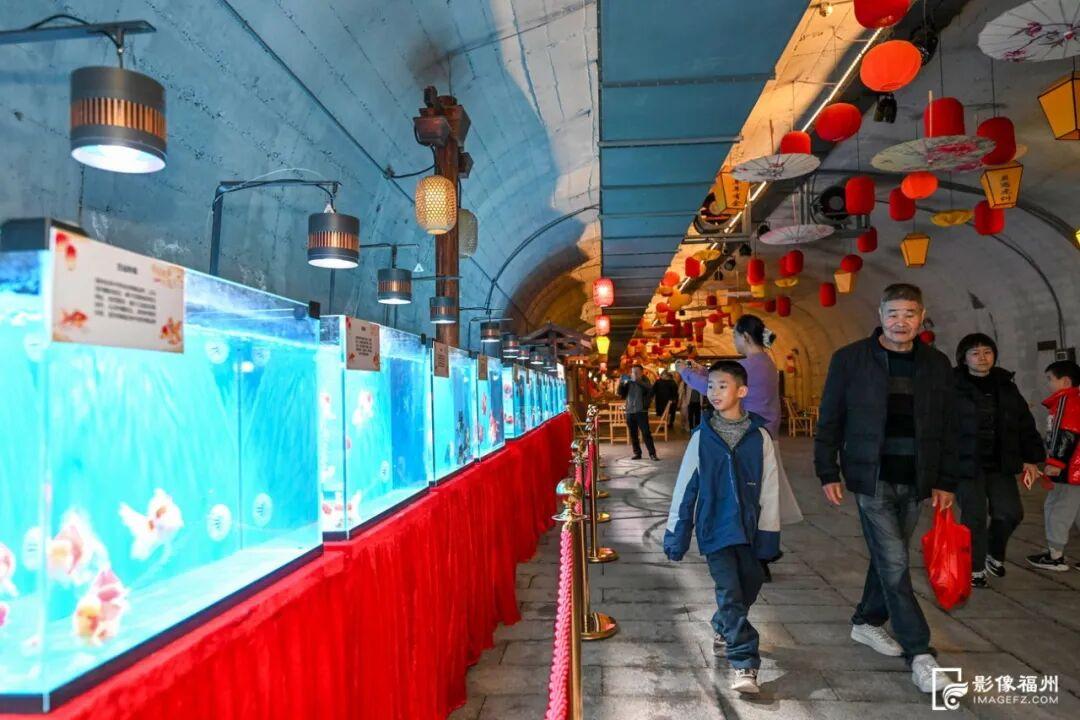 免费开放！这个春节，“马”上来福州！