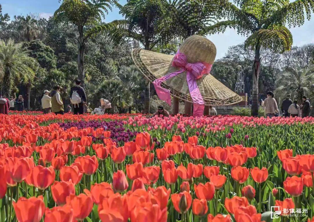 免费开放！这个春节，“马”上来福州！