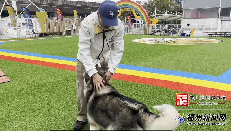 新消费｜萌宠也要过大年！福州宠物消费市场迎来“春节档”