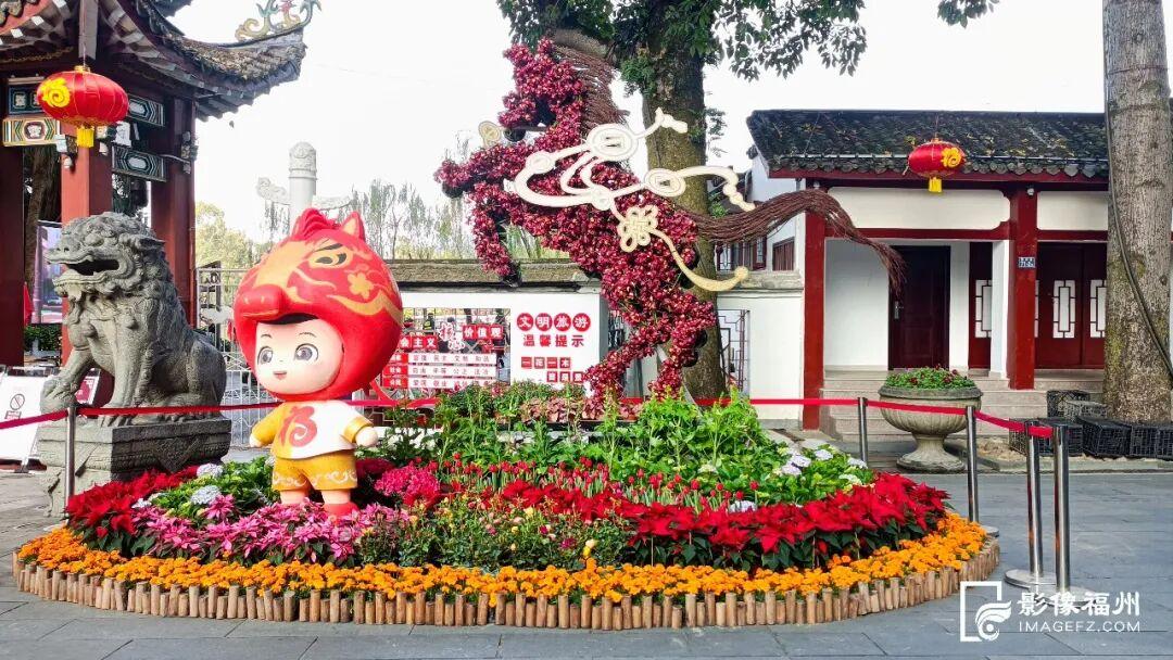 30000株！温泉公园新春花展大年初一正式开放！