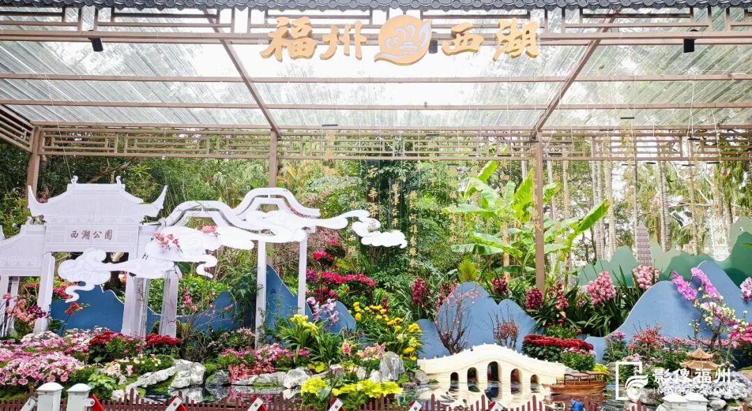 30000株！温泉公园新春花展大年初一正式开放！