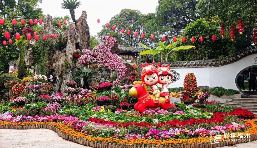 30000株！温泉公园新春花展大年初一正式开放！