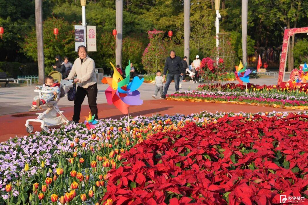 30000株！温泉公园新春花展大年初一正式开放！