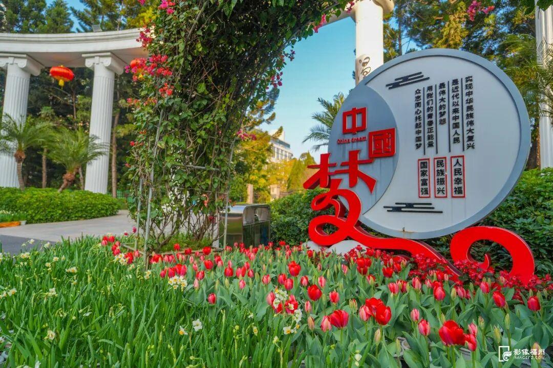 来福州，赴一场新春花事！