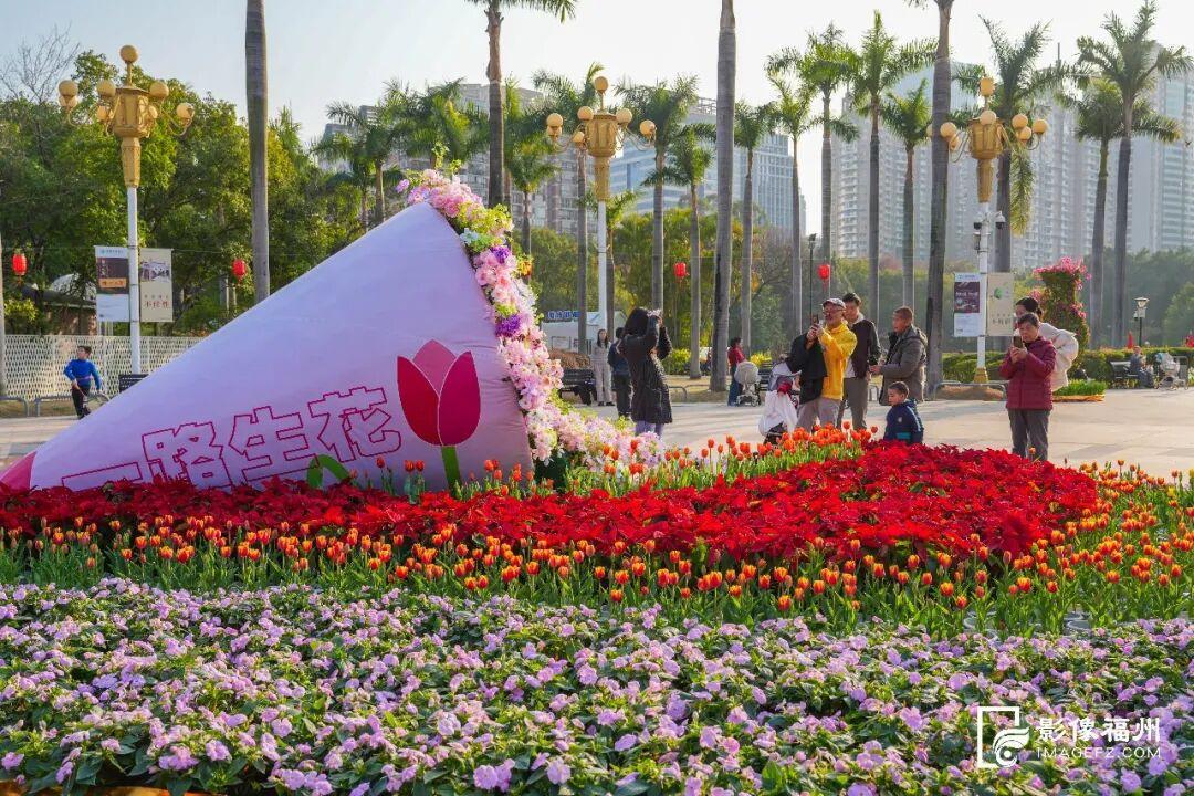 来福州，赴一场新春花事！