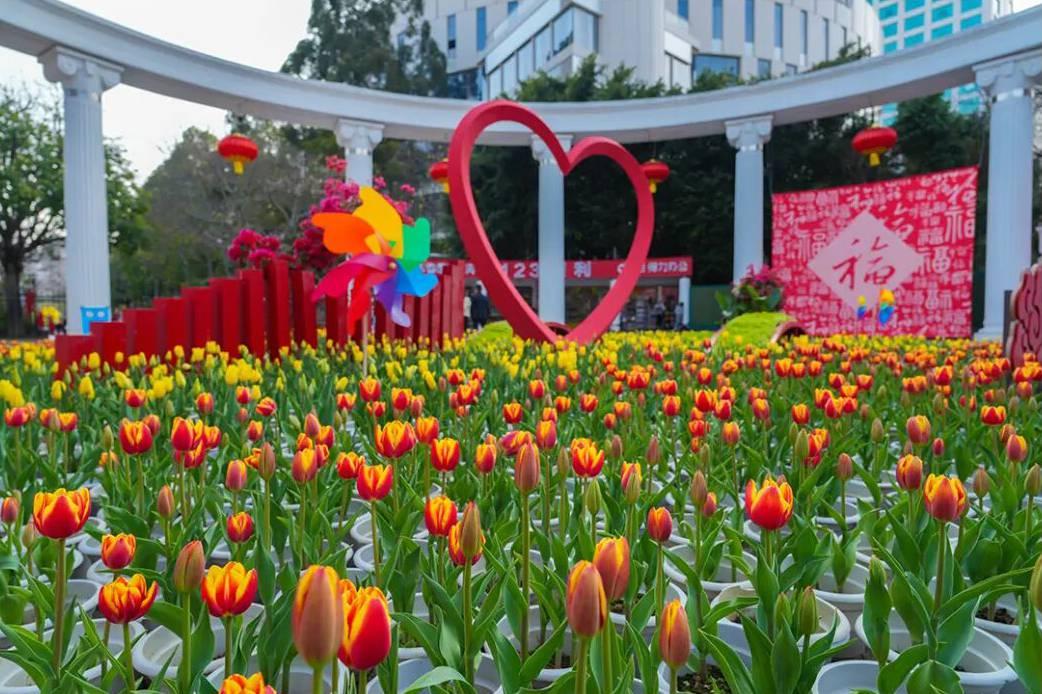 来福州，赴一场新春花事！