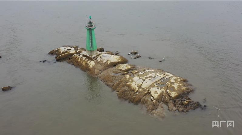 马年寻马｜从三匹“马”看一座城的奋进与团圆
