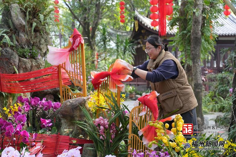 新春走基层｜从“兰花小白”逆袭成花展主理，她是怎么做到的？