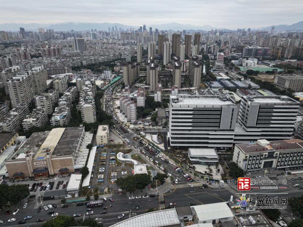 城区路网再升级！樟林路西段道路工程全面建成通车