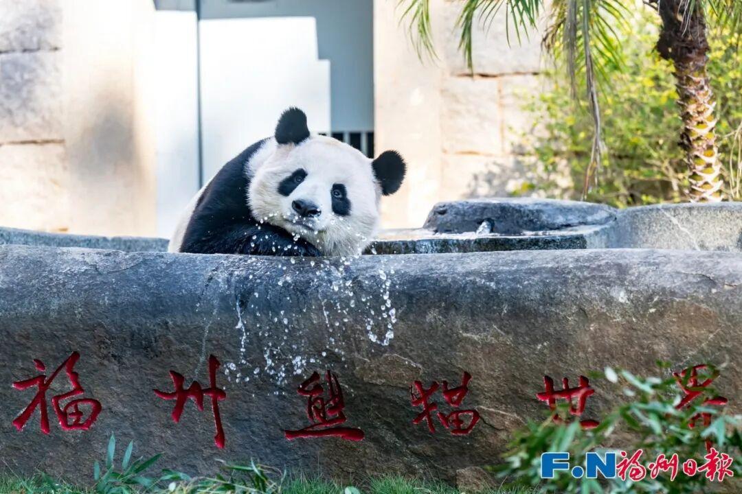 有福之州：人间有味是福年