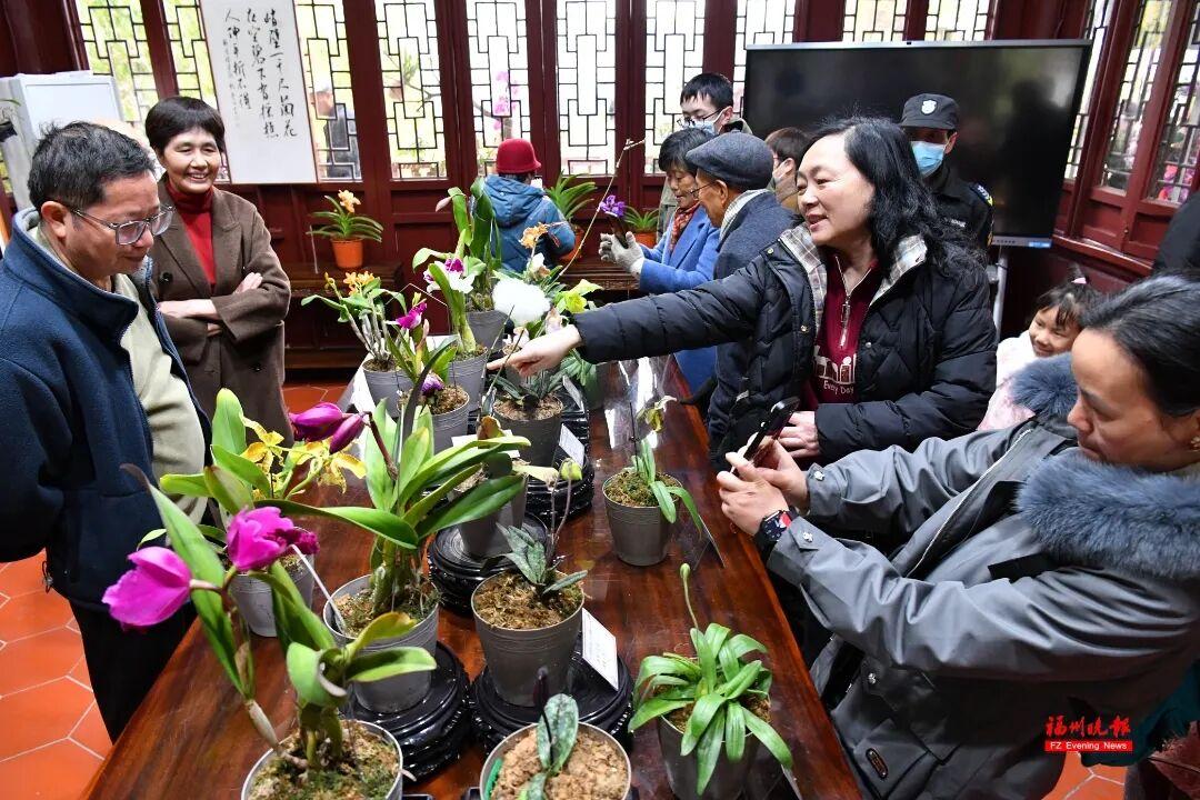 免费！去福州于山，看兰花！