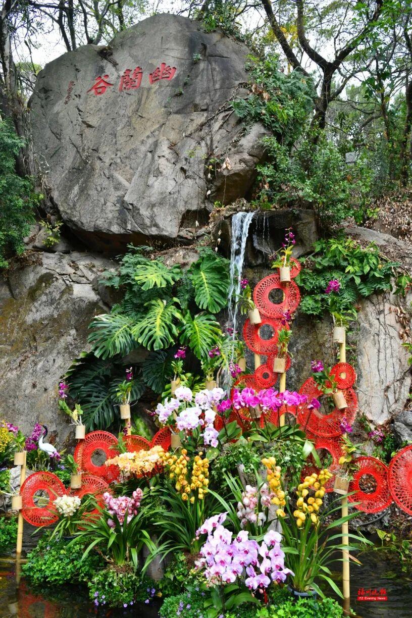 免费！去福州于山，看兰花！