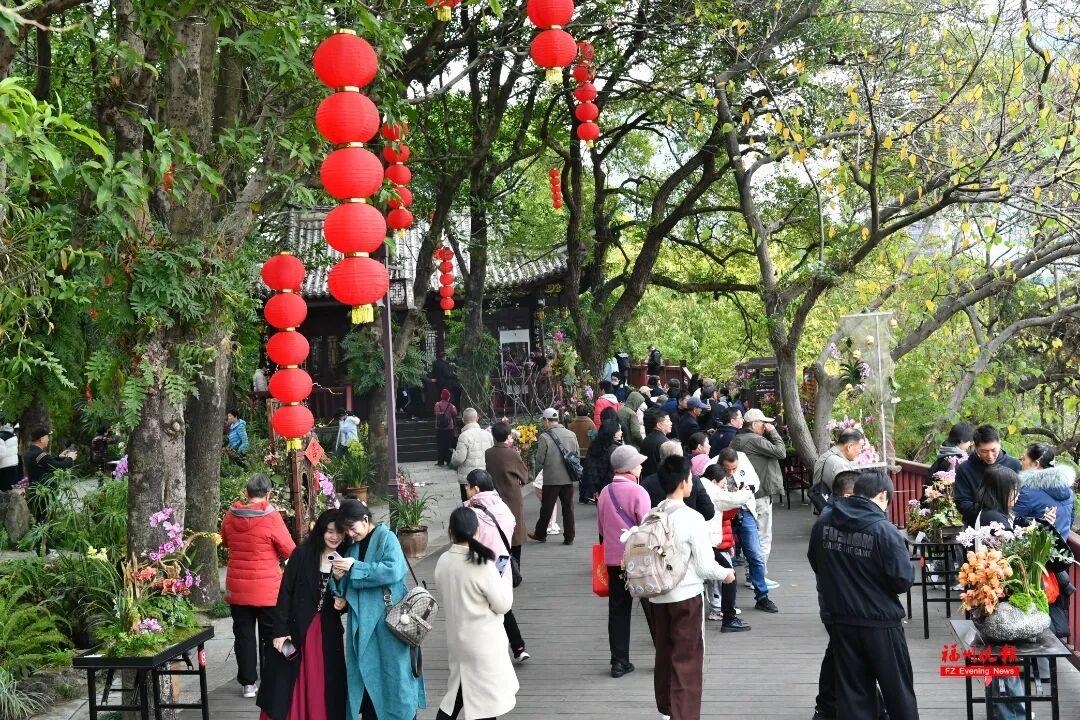 免费！去福州于山，看兰花！