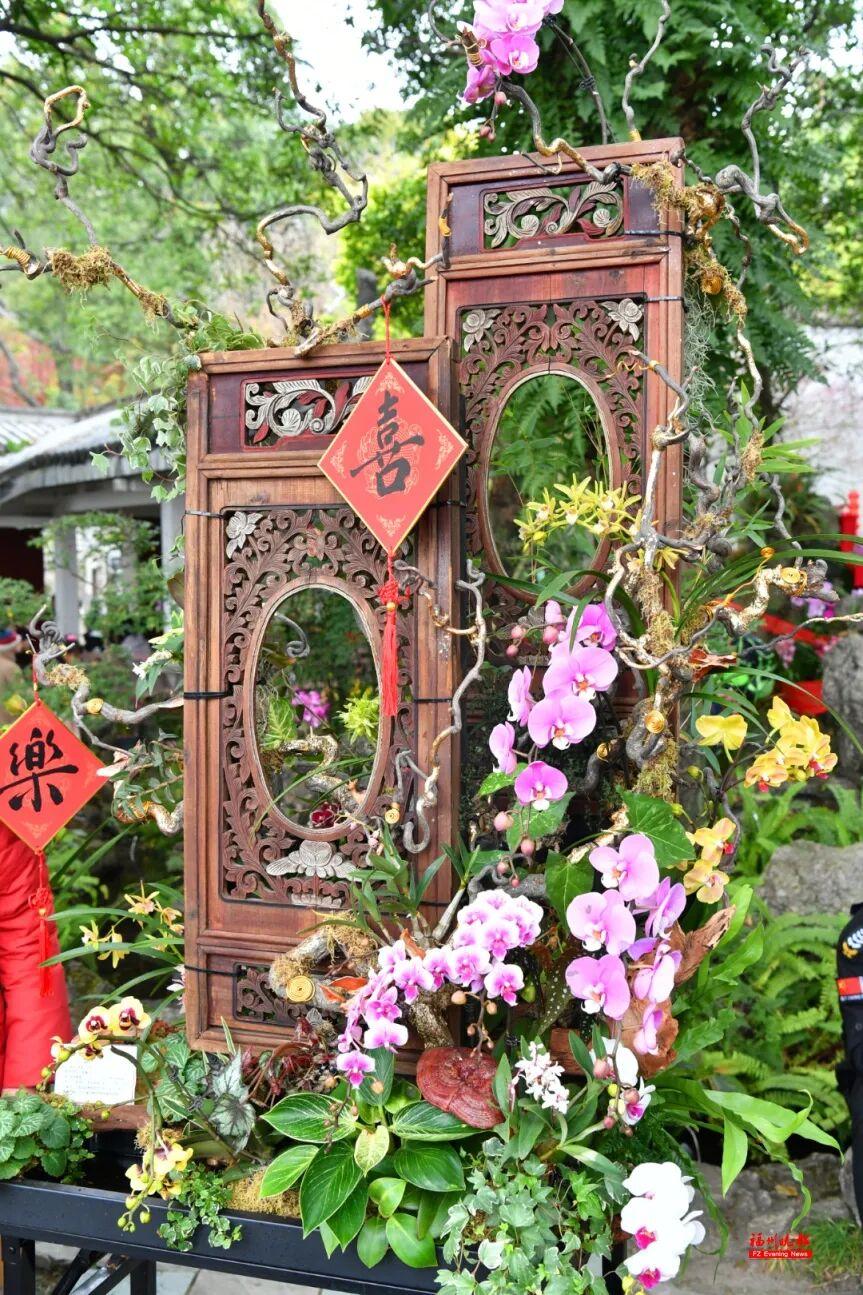 免费！去福州于山，看兰花！