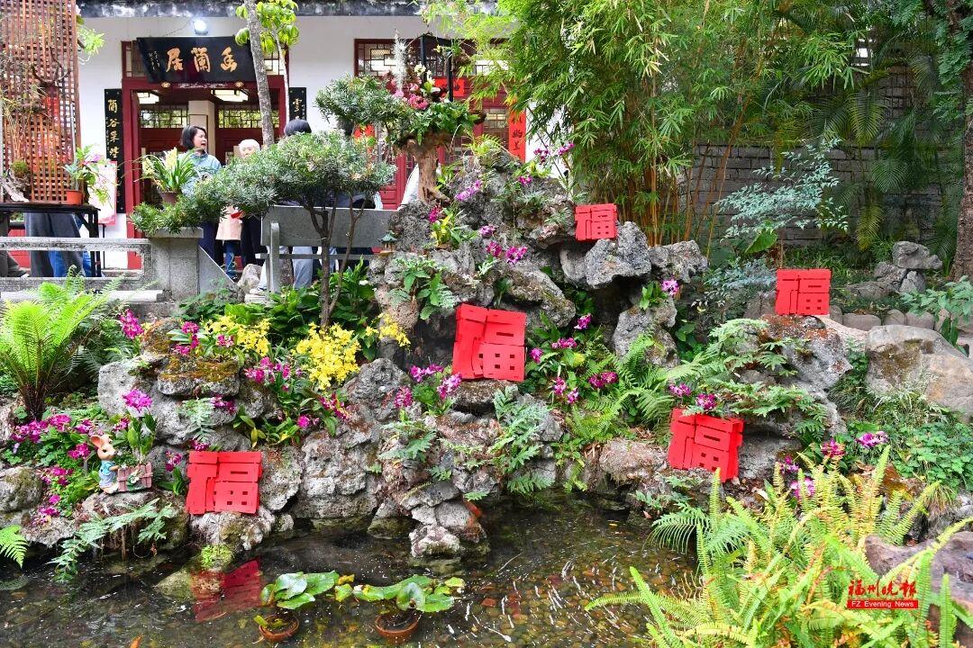 免费！去福州于山，看兰花！