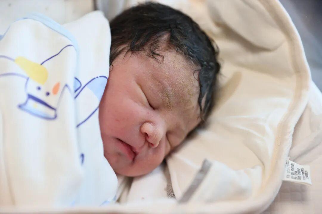 大年初一，福建“马宝宝”陆续报到！有人小名就叫“初一”