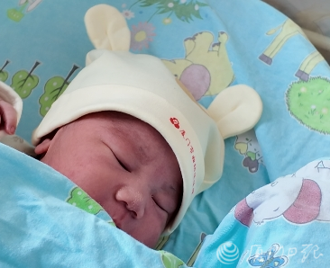 大年初一，福建“马宝宝”陆续报到！有人小名就叫“初一”