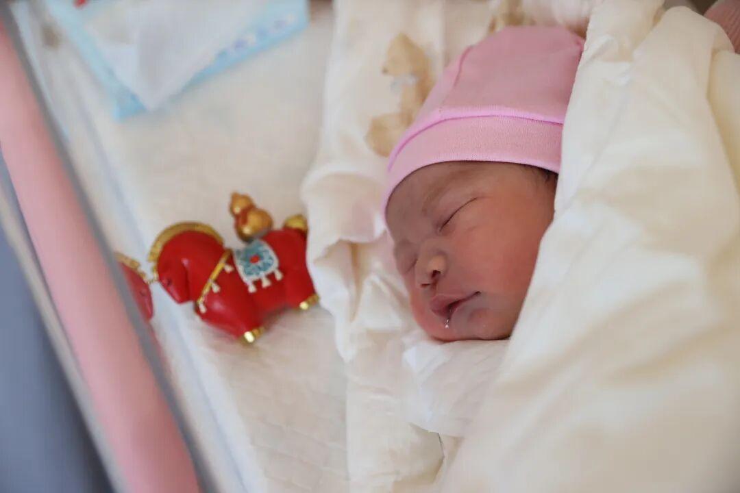 大年初一，福建“马宝宝”陆续报到！有人小名就叫“初一”