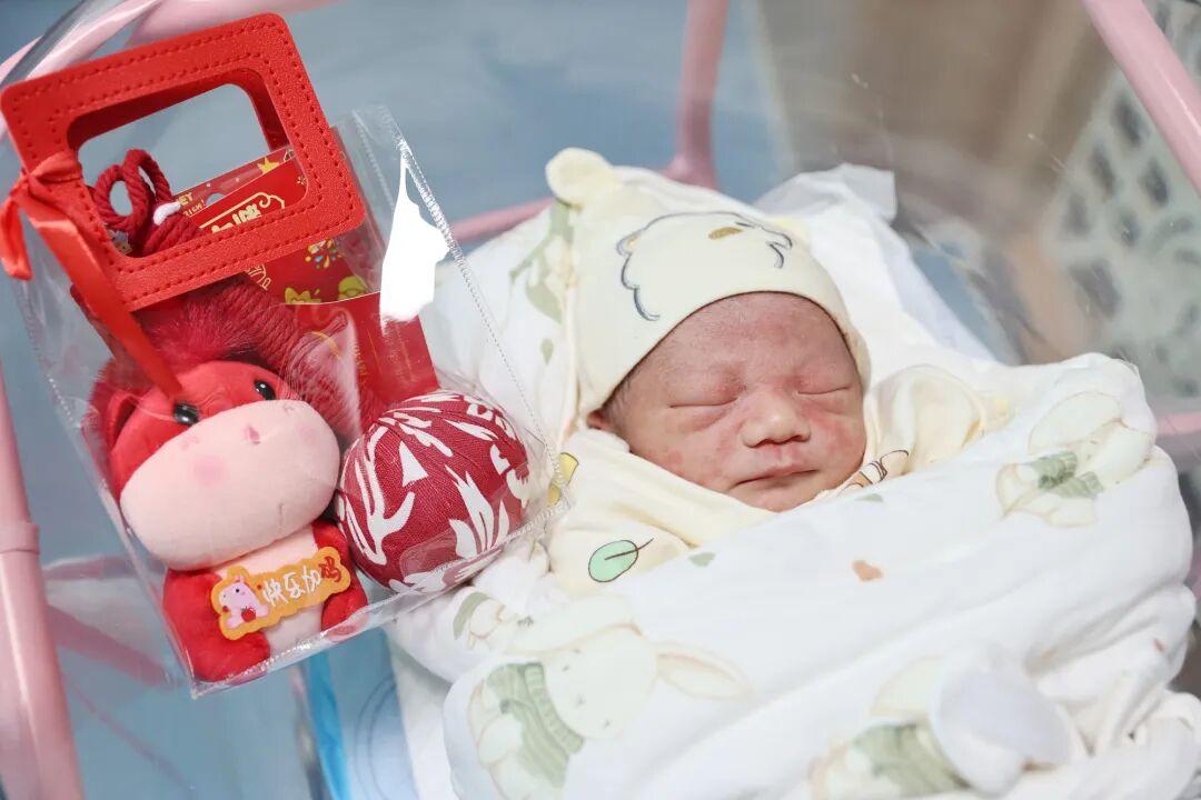 大年初一，福建“马宝宝”陆续报到！有人小名就叫“初一”