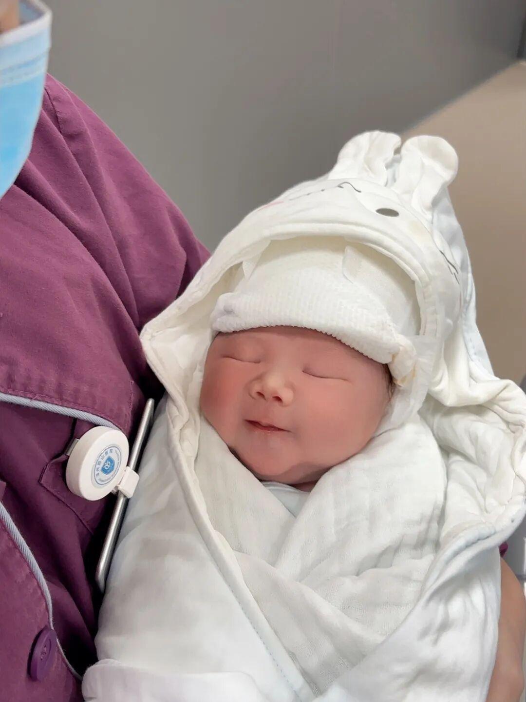 大年初一，福建“马宝宝”陆续报到！有人小名就叫“初一”