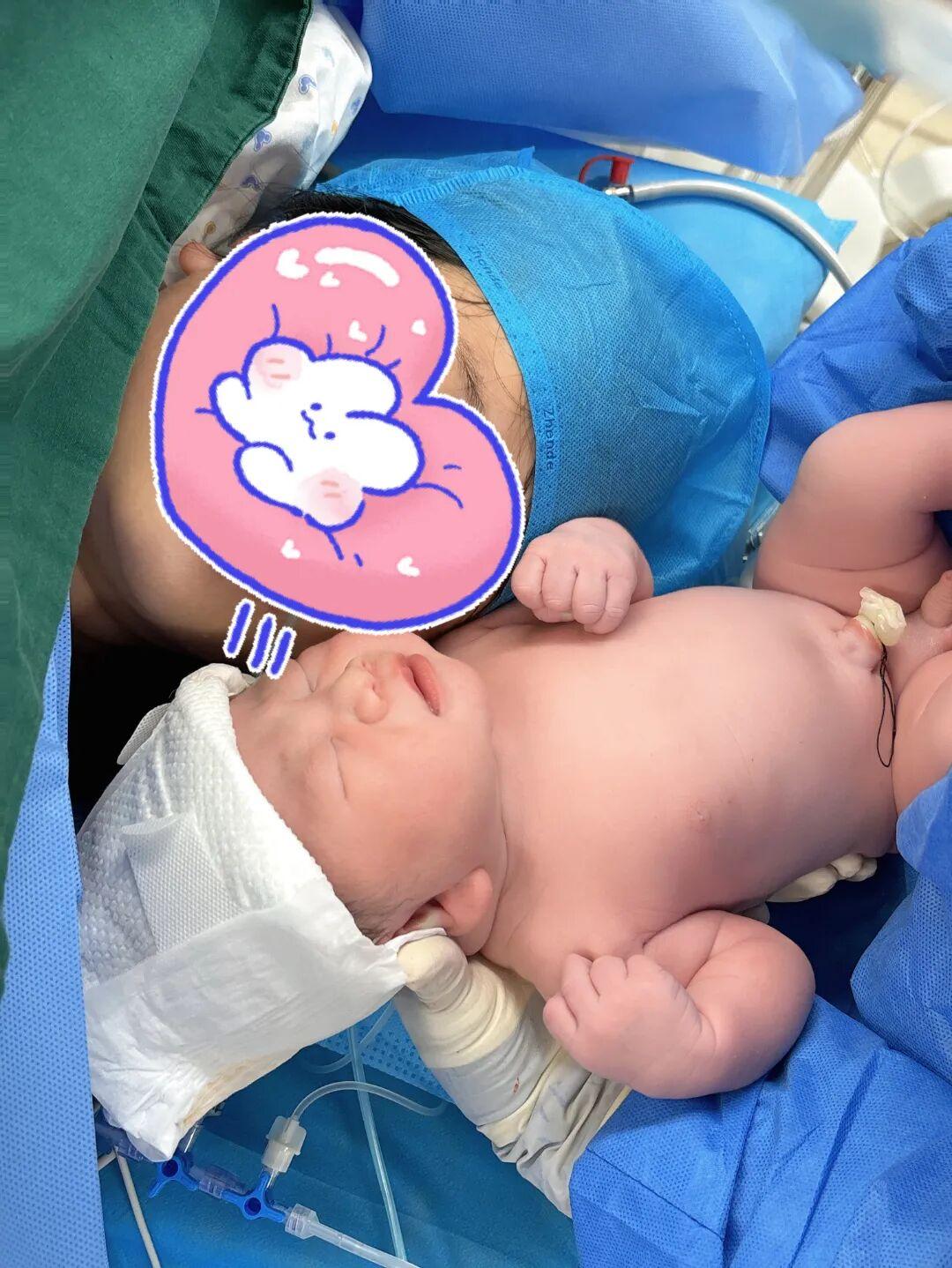 大年初一，福建“马宝宝”陆续报到！有人小名就叫“初一”