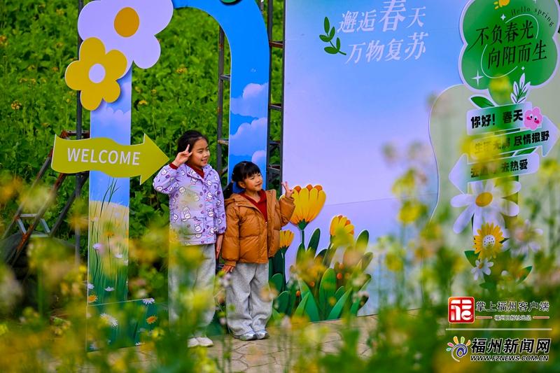 太美了！福州花海公园彩色油菜花盛放