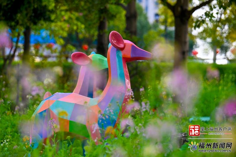 太美了！福州花海公园彩色油菜花盛放