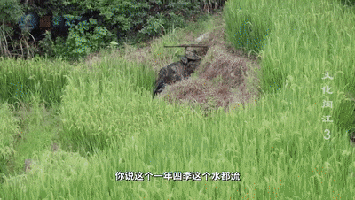 从河洛到闽江，理学道南，继往而开新——历史人文纪录片《文化闽江》播出第三集