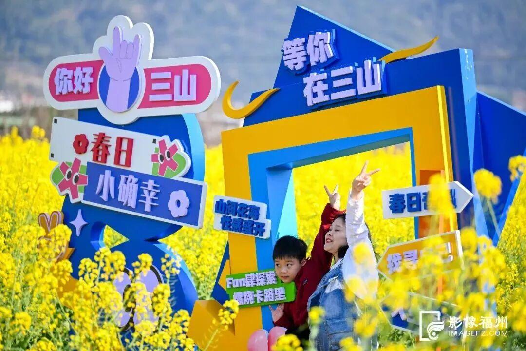 美成壁纸！福州这些金色花海，火了