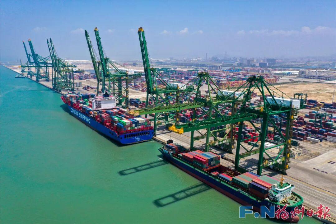 最高300万元！福州出台最新奖励办法！（全文+解读）