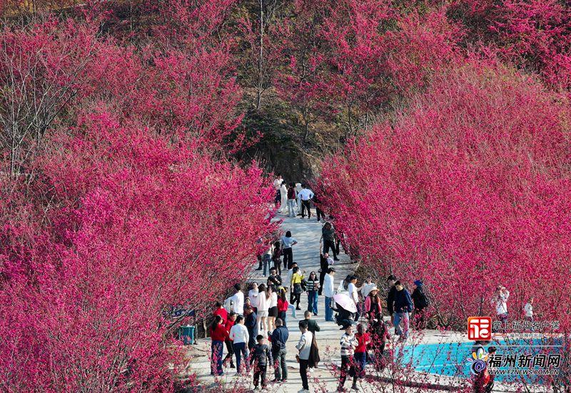 永泰新春文旅热力全开 126.38万人次游客共庆新春